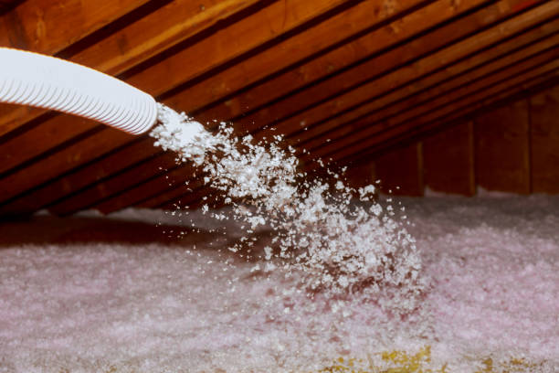 Types of Insulation We Offer in Evansburg, PA