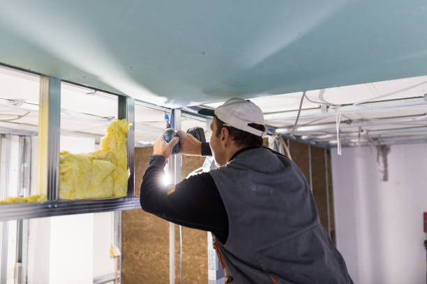 Best Cellulose Insulation in Evansburg, PA