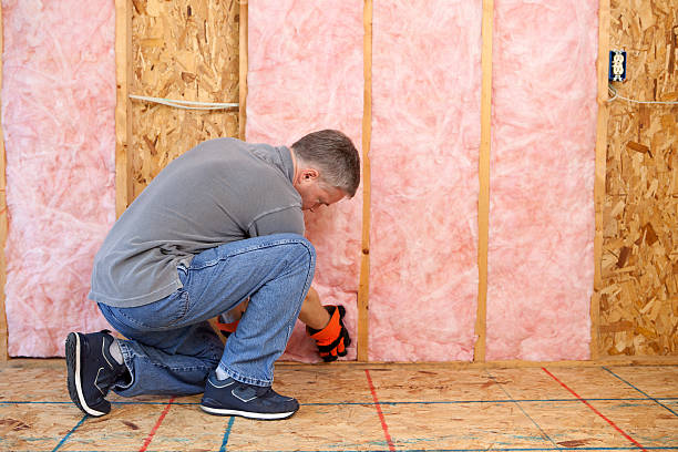 Best Insulation Maintenance and Repair in Evansburg, PA